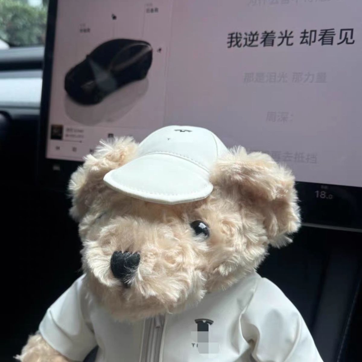 EVKITT Cyber Inspired Sammelpuppe für Tesla-Besitzer Minimalistisches Auto-Armaturenbrett-Maskottchen (Premium Hypoallergener Baumwolle, 25cm 1 Stk.)