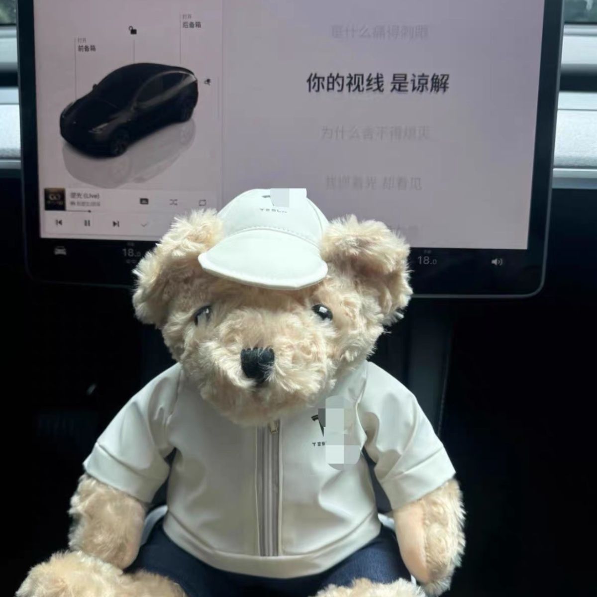 EVKITT Cyber Inspired Sammelpuppe für Tesla-Besitzer Minimalistisches Auto-Armaturenbrett-Maskottchen (Premium Hypoallergener Baumwolle, 25cm 1 Stk.)